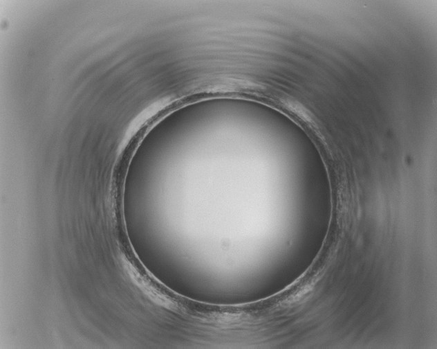 X0000056001122200508261743