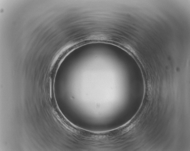 X0000056001123200508261743