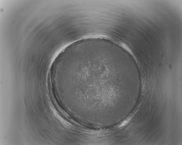 X0000056001124200508261743