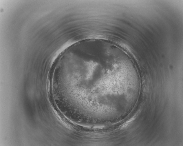 X0000056001125200508261743