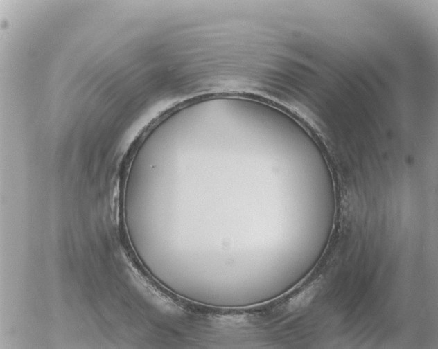 X0000056001126200508261743