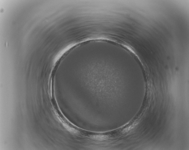 X0000056001127200508261743