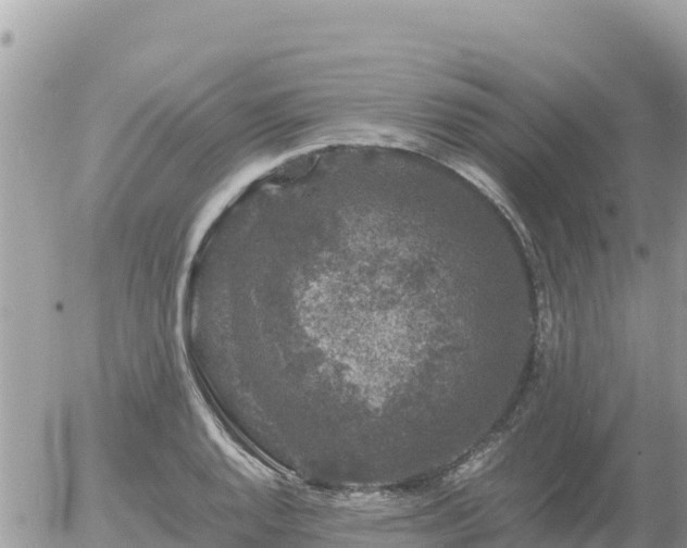 X0000056001128200508261743