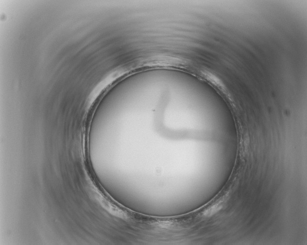 X0000056001130200508261743