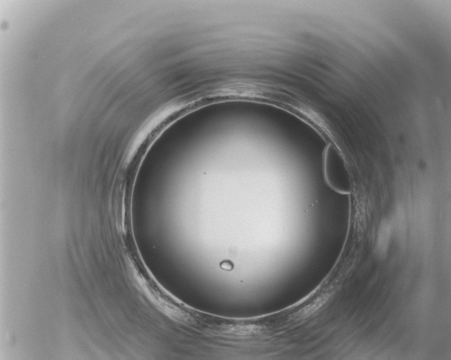 X0000056001131200508261743