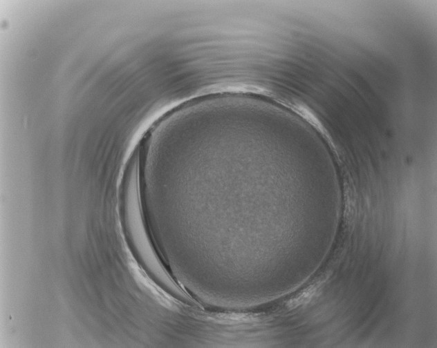 X0000056001132200508261743