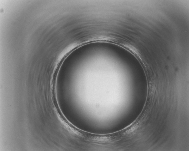 X0000056001135200508261743