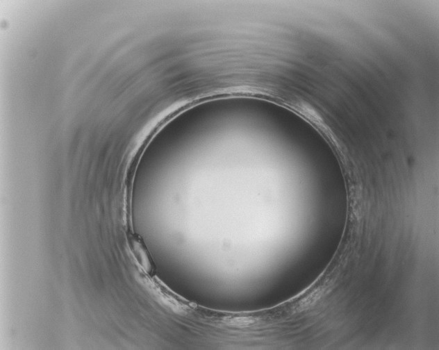 X0000056001140200508261743