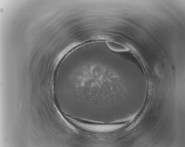 X0000056001141200508261743