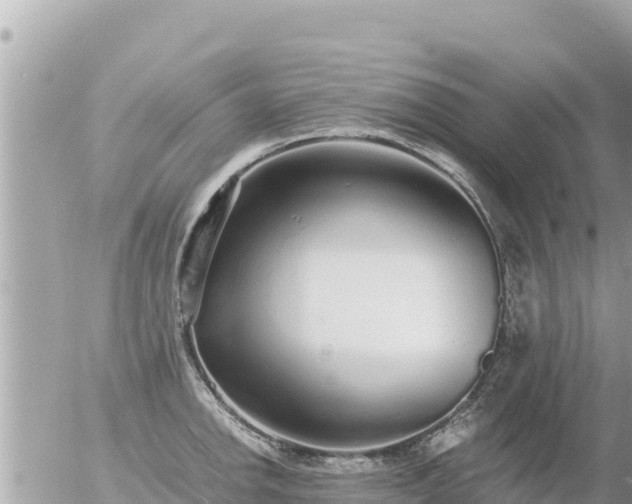 X0000056001142200508261743