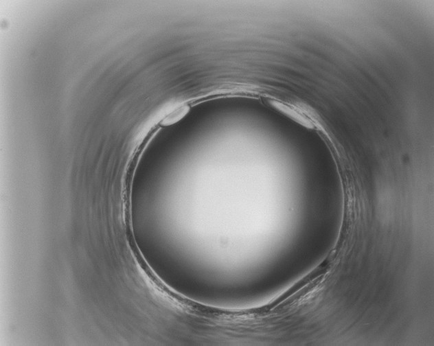 X0000056001143200508261743