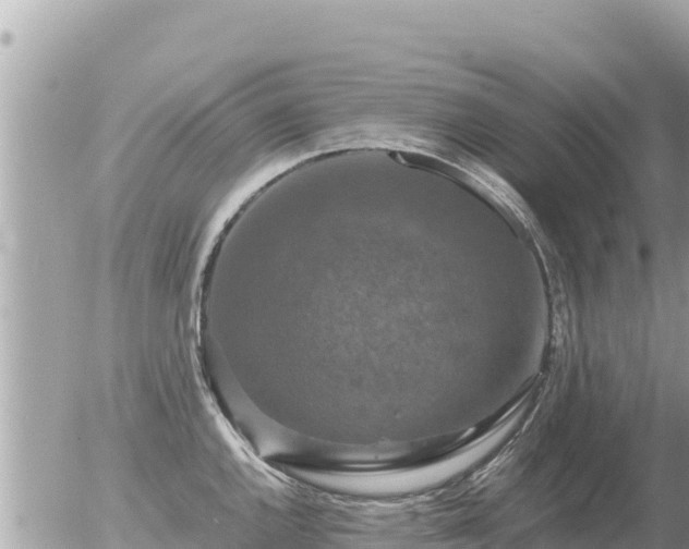 X0000056001144200508261743