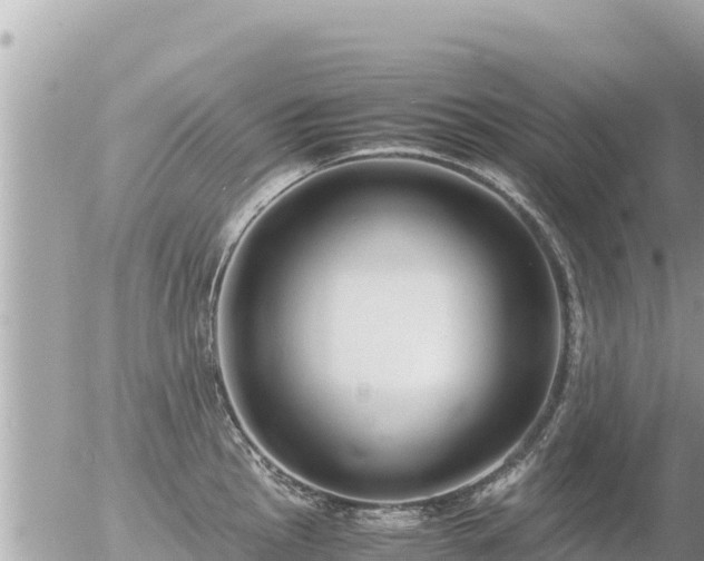 X0000056001145200508261743