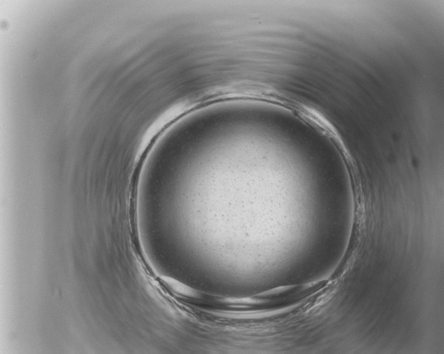 X0000056001146200508261743