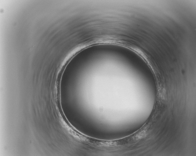 X0000056001147200508261743