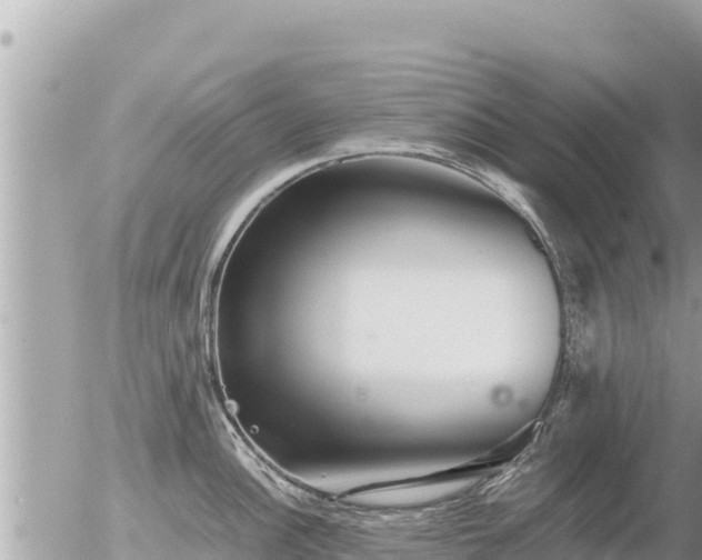 X0000056001148200508261743