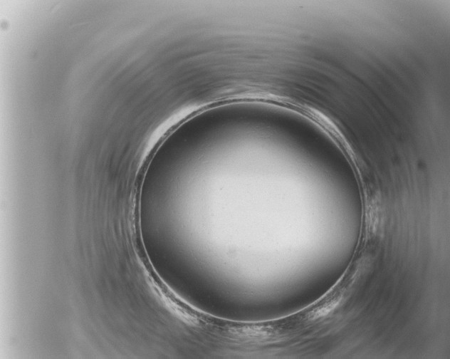 X0000056001149200508261743