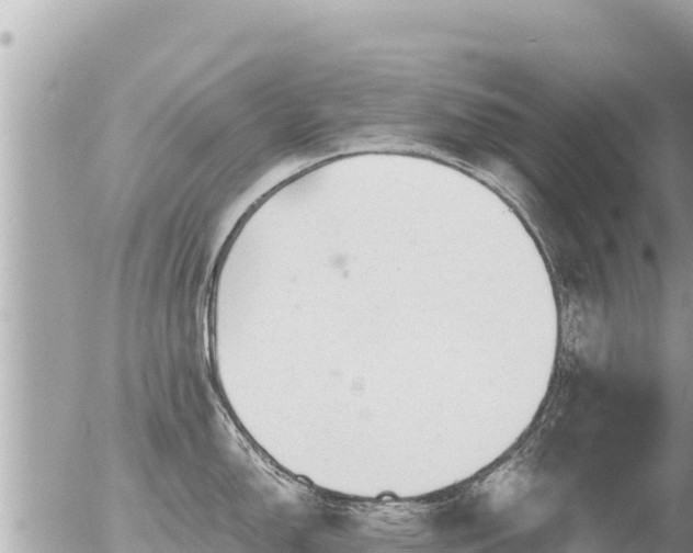 X0000056001150200508261743