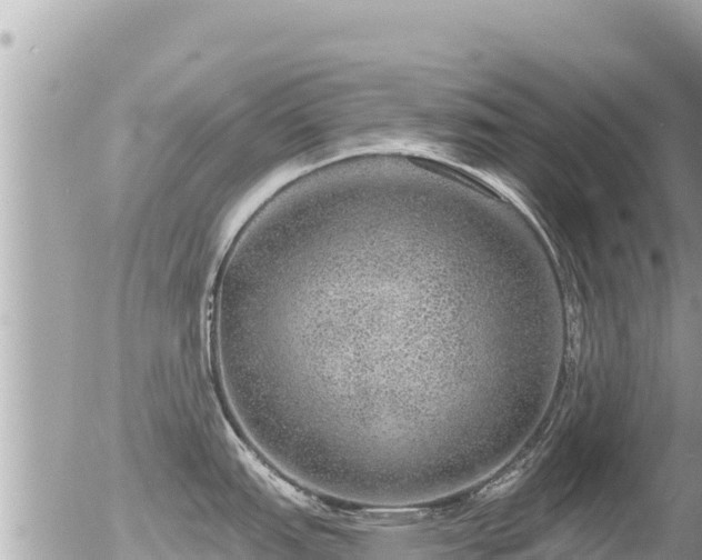 X0000056001151200508261743