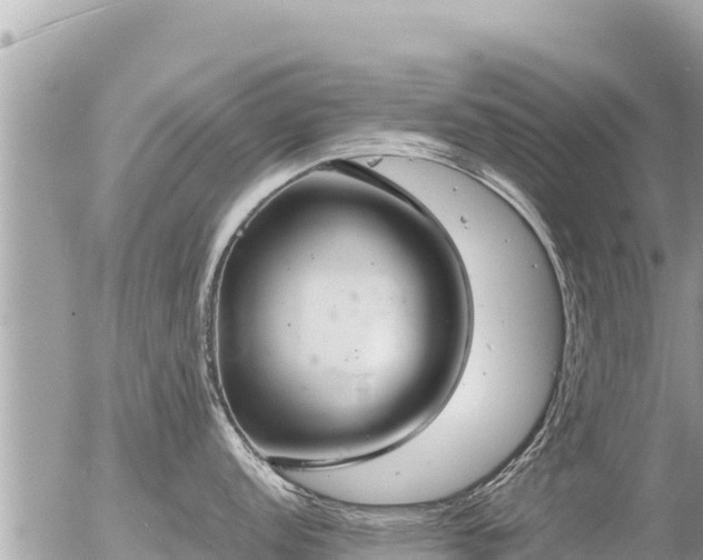 X0000056001152200508261743