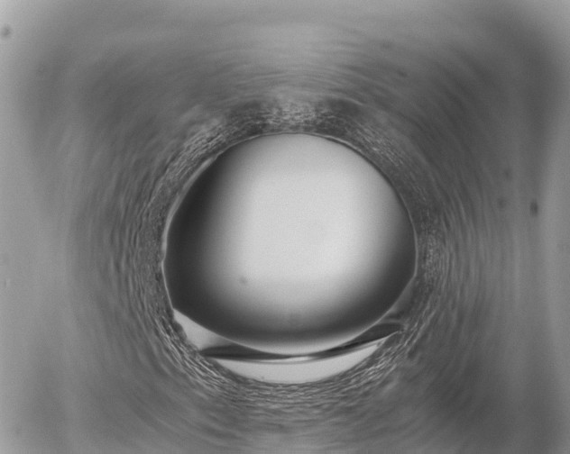 X0000056001153200508261742