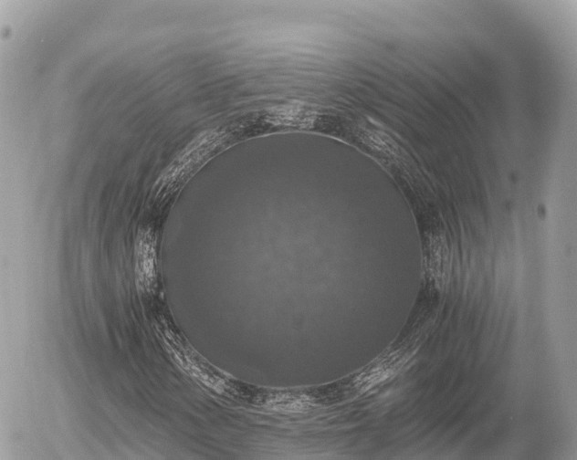 X0000056001154200508261742