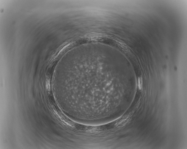 X0000056001155200508261742