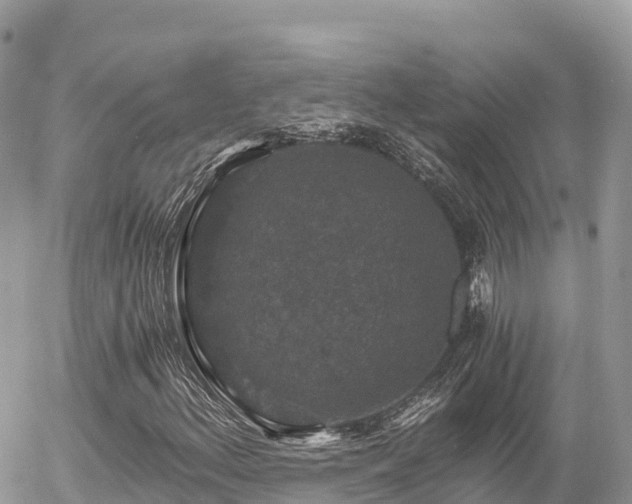 X0000056001156200508261742