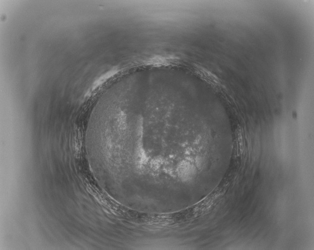 X0000056001158200508261742