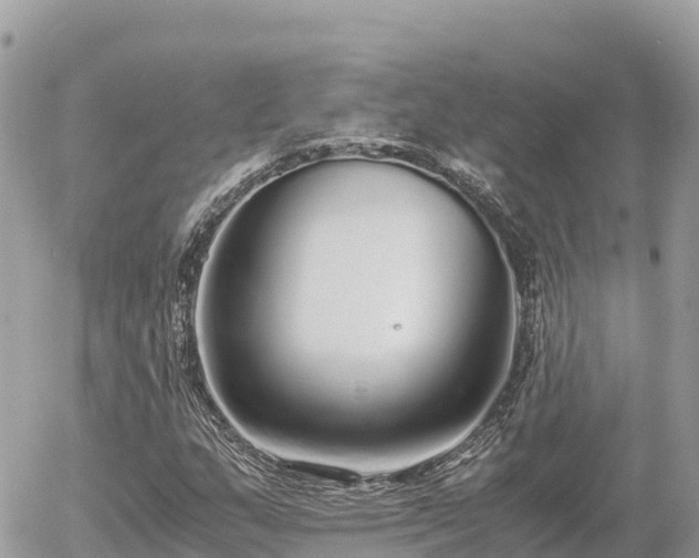 X0000056001159200508261742