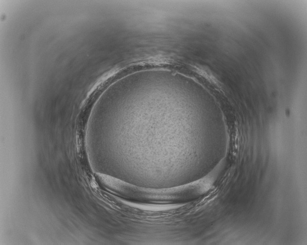 X0000056001160200508261742