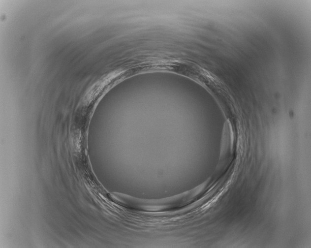 X0000056001161200508261742