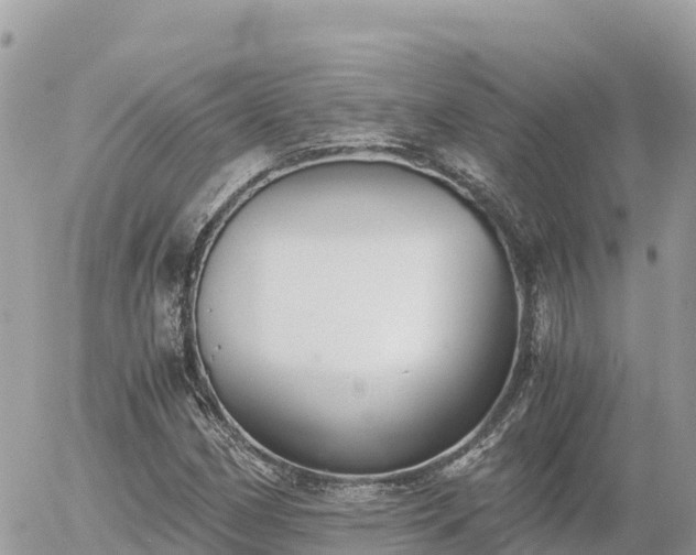 X0000056001162200508261742