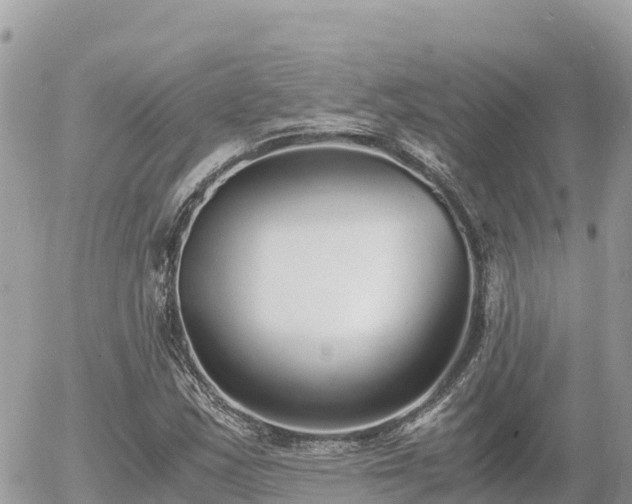 X0000056001163200508261742