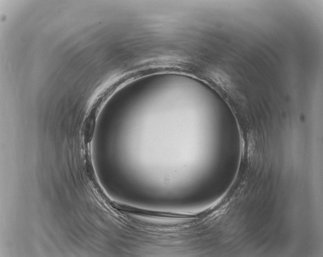 X0000056001164200508261742