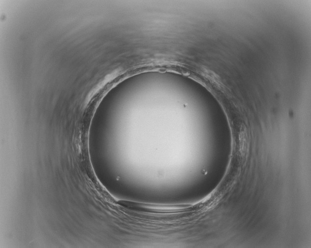 X0000056001165200508261742