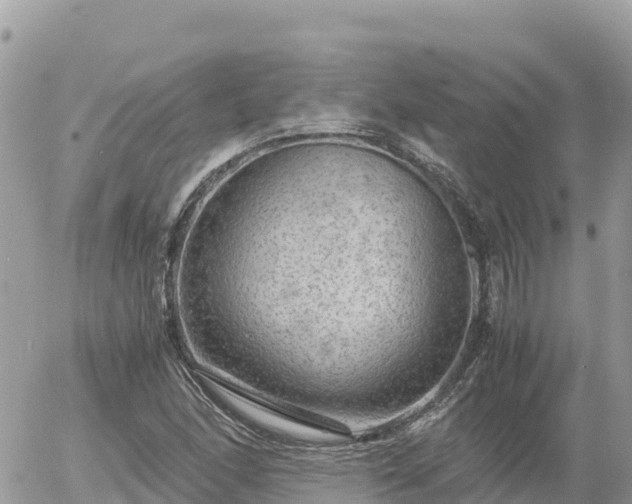 X0000056001166200508261742