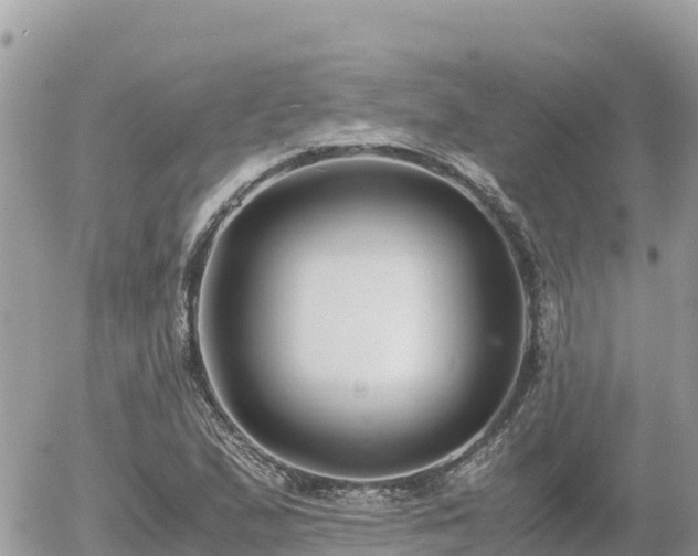 X0000056001167200508261742