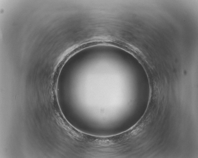 X0000056001168200508261742