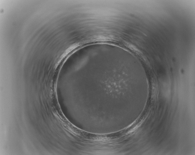 X0000056001170200508261742