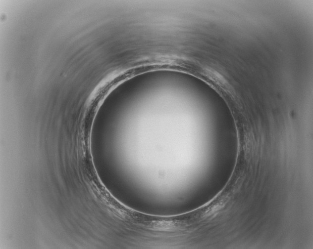 X0000056001172200508261742