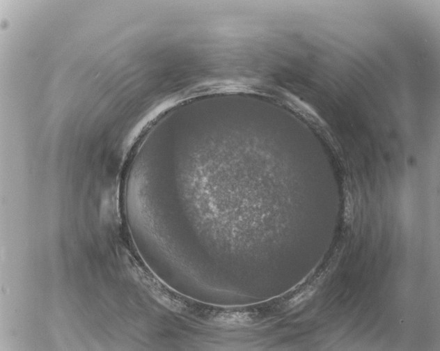 X0000056001174200508261742