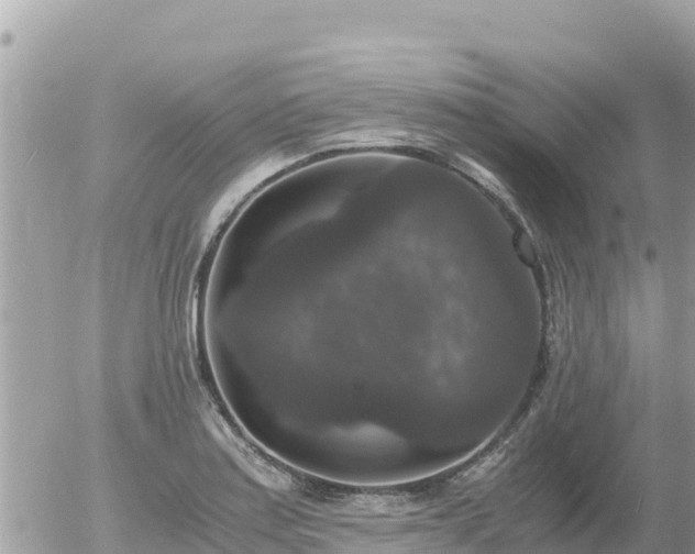 X0000056001179200508261742