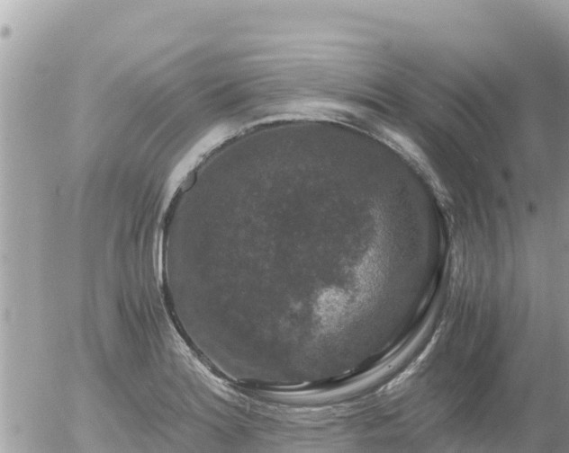 X0000056001180200508261742