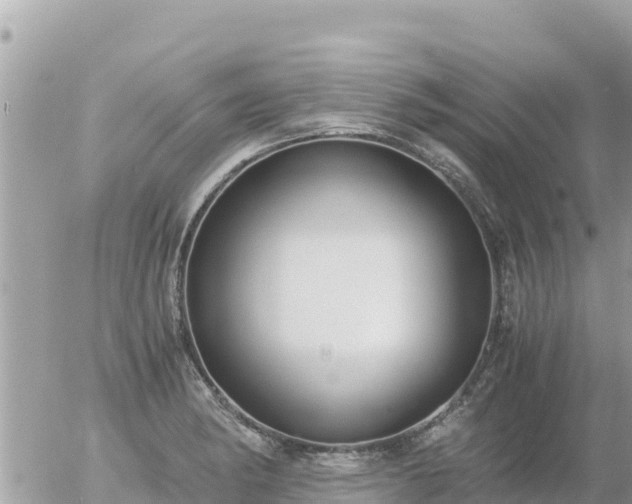 X0000056001182200508261742