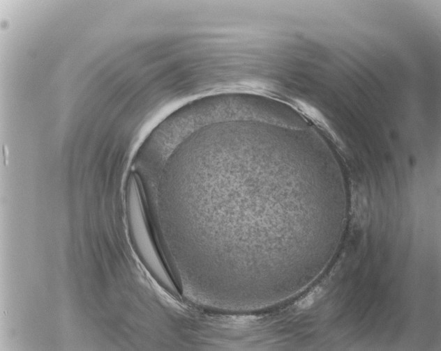 X0000056001184200508261742