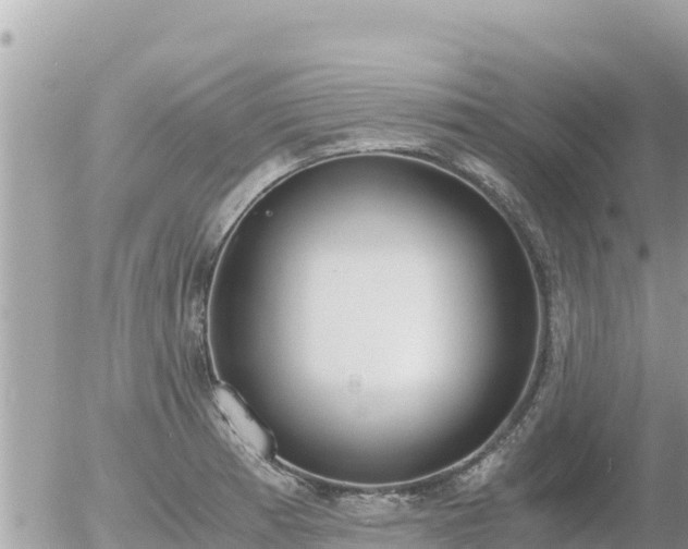 X0000056001185200508261742