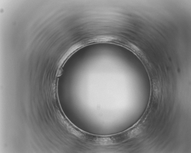 X0000056001186200508261742