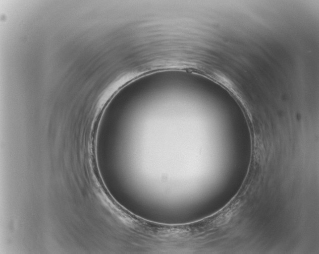 X0000056001187200508261742