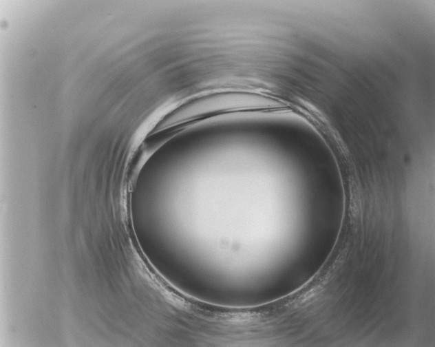 X0000056001188200508261742